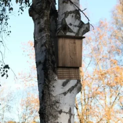 Til Fugle & Småvildt^Flagermusehus, 37x22x12,5 cm, Brun