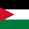 Flagga - Palestina Flag & Vindposer