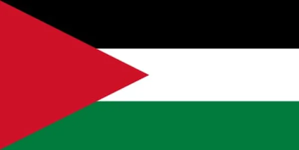 Flagga - Palestina Flag & Vindposer