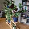 Flerniveau træblomsterkrukke RKB /95x116x25/ Naturlig brændt Plantestativer