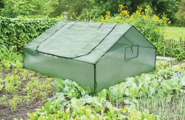 Drivhus^Flora havedrivhus - folietelt, kold ramme med insektnet, store ventilationsvinduer