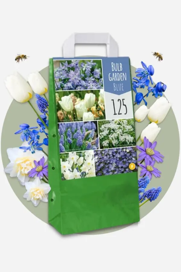 Best Forårsblomst pærer blå - Sæt med 250 - Blomsterløg - Blå Frø
