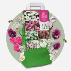Frø^Forårsblomst pærer rosa - Sæt med 250 - Blomsterløg - Lilla