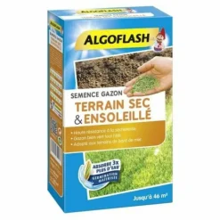 Hot Frø Algoflash SEMSOL1 Frø