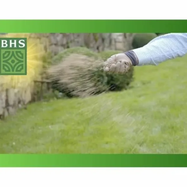 Hot Frø BHS Frø