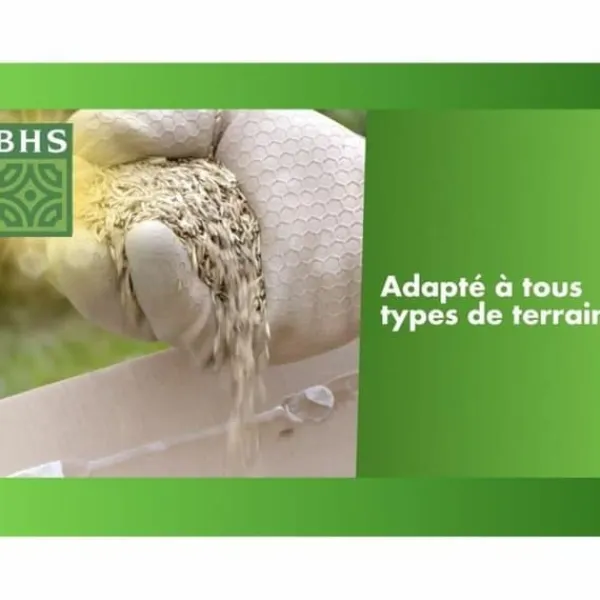 Discount Frø BHS 1 kg Frø