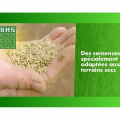 Online Frø BHS 3 Kg Frø