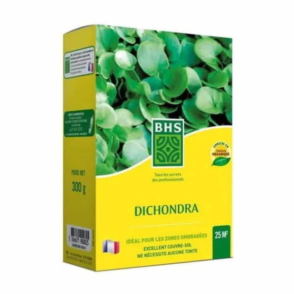 Frø^Frø BHS Dichondra