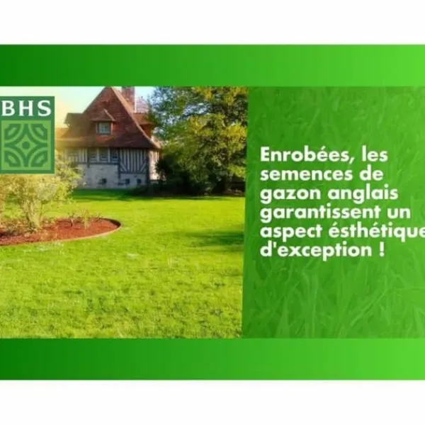 Sale Frø BHS Gazon Anglais 10 kg Frø