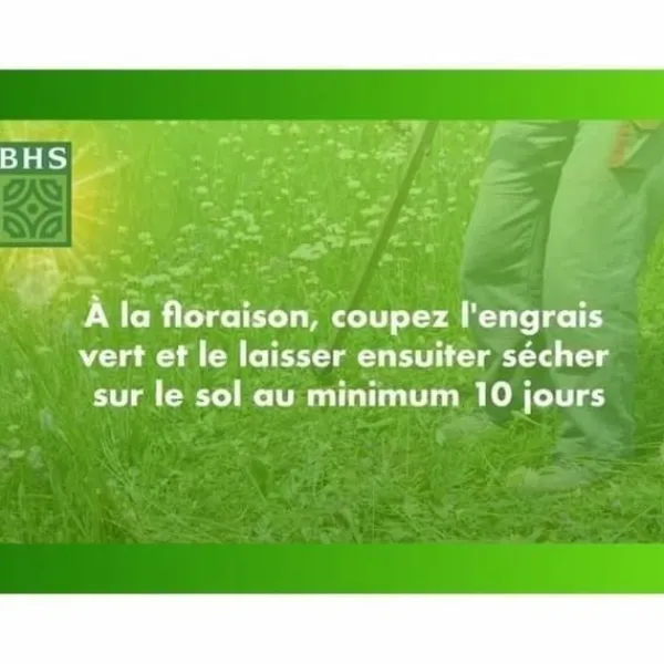 Frø^Frø BHS Trèfle Blanc 500 g