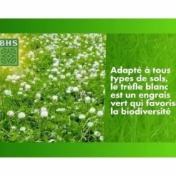Frø^Frø BHS Trèfle Blanc 500 g