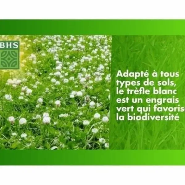 Frø^Frø BHS Trèfle Blanc 500 g