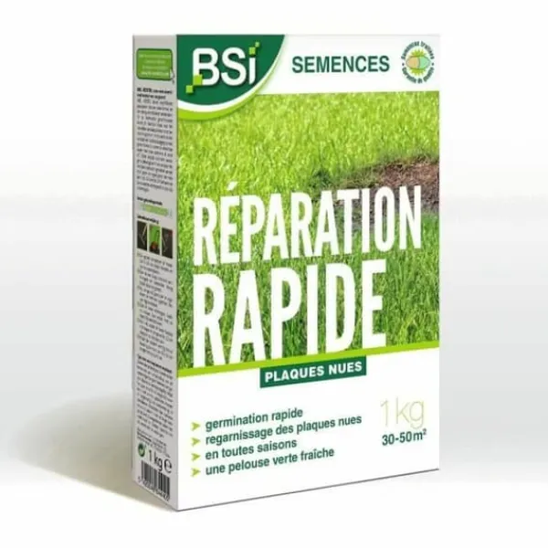 Frø^Frø BSI Reparación Rápida 1 kg
