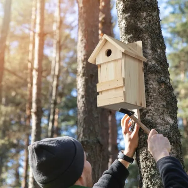 Clearance Fuglekasse, Træ, 25x16x14 cm, Natur Til Fugle & Småvildt