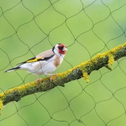 Insektmiddel & Dyreafvisende Middel^Fuglenet - Beskyttelsesnet til have, frugtplantage og dam - 30,48 x 15,24 m - Mod fugle og insekter - Til frugttræer, planter, afgrøder - Sort