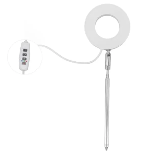 fuldspektret USB LED-plantevækstlampe i engelringform til indendørs plantevækst Krukkeplanter Indendørs