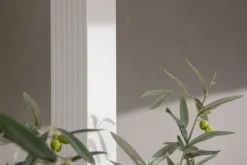 Clearance FURNLUX UDENDØRS PERGOLA LAZIO HVID 295CM Buer, Spalier, Lysthuse Uden Tag
