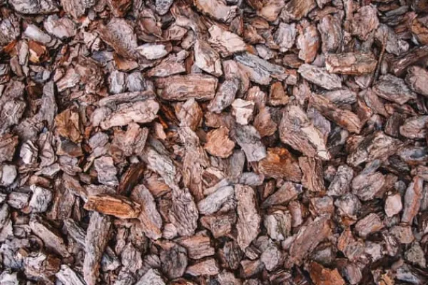 Online FYRREBARK PROFI-LUX BIOVITA 30-80 MM 80L Jord & Sand