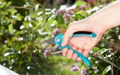 Online Gardena B/S Classic enhånds havebeskærer / 8854 rustfrit stål Haveværktøj