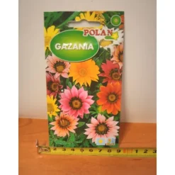 Frø^GAZANIA PN4078 frø