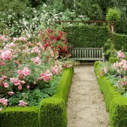 Hot Gødning til Rose Blomster Granulat Have Start 1kg Gødningsmidler