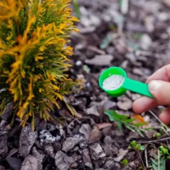 Gødningsmidler^Gødning til Thujas, Arborvitaes, Nåletræer, Garden Start 2 kg