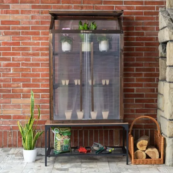 Drivhus^Greenspot Mini Drivhus til Altan og Terrasse 80 x 42 x 120 cm - Altandrivhus til overvintring af urter, blomster, frøplanter - Oprindelsesfarve Mørk R | CDON