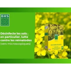 Gødningsmidler^Grøn gødning - BHS - Hvid sennep 500g | 100 m² | Forbedrer og desinficerer jorden for bedre frugtbarhed.