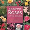 Best Growing Roses in Cold Climates Blomster