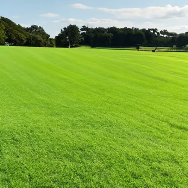 Græs 5kg SOS Regenerative Græsfrø til Eftersåning 200m2 Egarden Frø