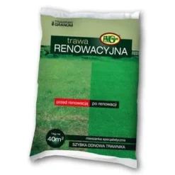 Frø^Græs som malet - Renoveringsblanding 1 kg FNGranum