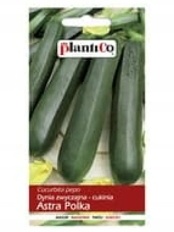 Frø^Græskar - zucchini ASTRA POLKA 3g PlantiCo frø