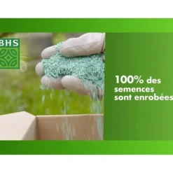 Best Gräsmatta - BHS - Gräsmatta vid havet 10kg | Motståndskraftig mot vind, torka, salthalt | Vacker sommargräsmatta, estetisk och robust. Jord & Sand
