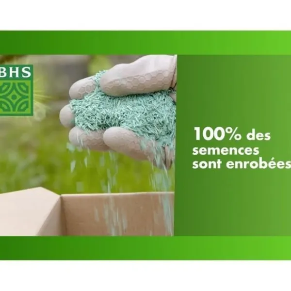 Best Græsplæne - BHS - Seaside Lawn 10 kg | Modstandsdygtig over for vind, tørke og salt | Smuk, attraktiv og robust sommergræsplæne. Jord & Sand