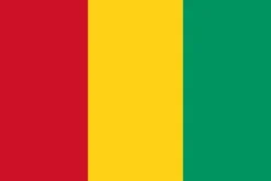 Discount Guinea flag Flag & Vindposer