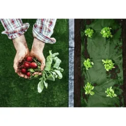 Online Haveagrotekstil 1,6 m x 100 m 90 g/m2 + 100 Plonos-nåle - sort og grøn Haveduge