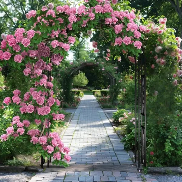 Discount Havebue & Espalier - Gotisk Bue - 216 cm Høj - Pulverlakeret Jern - Til Klatreplanter & Bryllup - Udendørs - Sort Buer, Spalier, Lysthuse Uden Tag