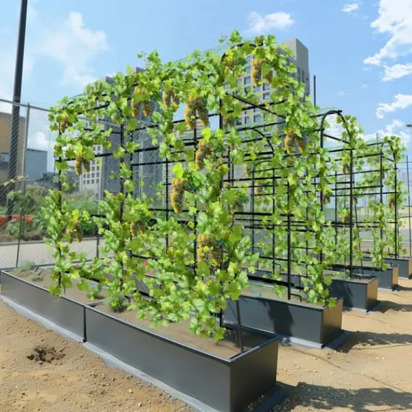Online Havebue Espalier - Metal Plantestativ - 160 cm Høj - Pulverlakeret - Til Klatreplanter & Agurker - Udendørs Bue/Tunnel - Hvid Buer, Spalier, Lysthuse Uden Tag