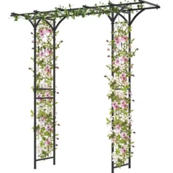 Clearance Havebue, 6,5x1,7x6,8 ft, Sort Buer, Spalier, Lysthuse Uden Tag