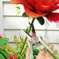 Haveværktøj^Haveværktøjssæt, 2 dele, rustfrit stål: beskæresaks + grensaks, grøn/sølv