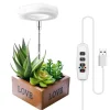 Hot Hexagon Grow Lights til indendørs planter Varm hvid/hvid Krukkeplanter Indendørs