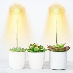 Hot Hexagon Grow Lights til indendørs planter Varm hvid/hvid Krukkeplanter Indendørs