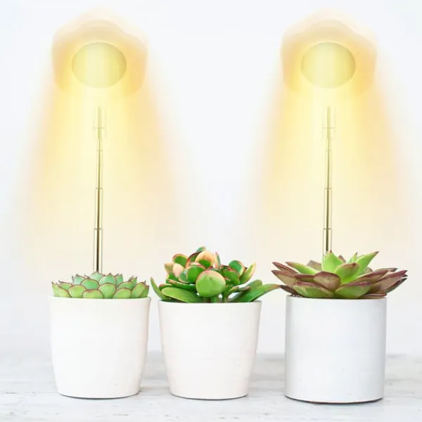 Hot Hexagon Grow Lights til indendørs planter Varm hvid/hvid Krukkeplanter Indendørs