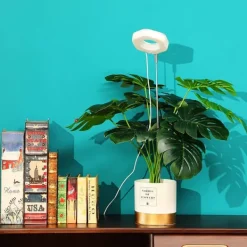 Hot Hexagon Grow Lights til indendørs planter Varm hvid/hvid Krukkeplanter Indendørs