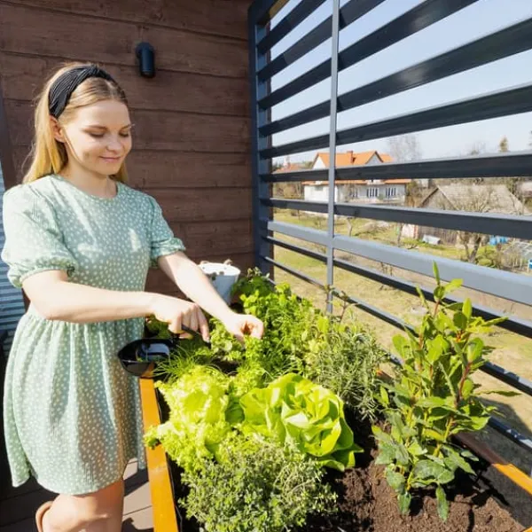 Plantningsbænke^Højbed til altan, terrasse og have 110x55x80cm - Træherbarium på ben - Plantekasse på ben til blomster, krydderurter, grøntsager - Højbed til haven, G | CDON