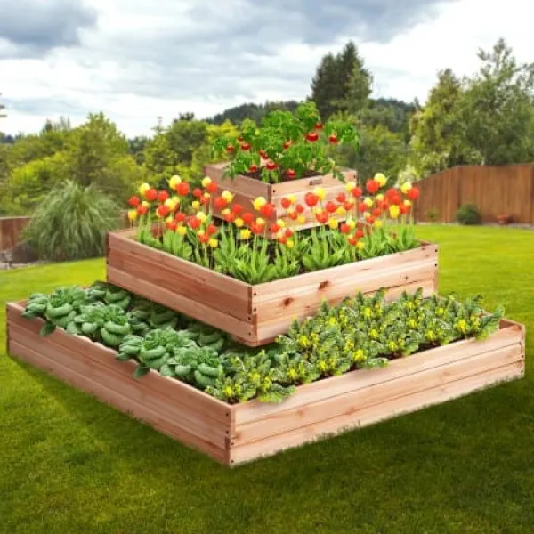 Plantningsbænke^Højbedsramme, 113x113x51 cm, lys træfarve, træ