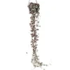 Hot Hjerteranke - Ceropegia linearis Woodii - Højde 20-30cm - ⌀14cm Krukkeplanter Indendørs
