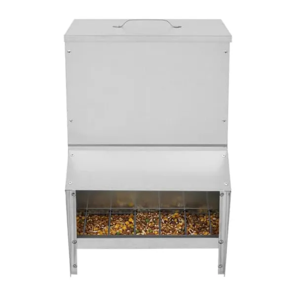Clearance Hønsefoderautomat i metal - Fjerkræ fodertrug - Med låg - Til høns og ænder - Sølv Til Fugle & Småvildt