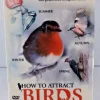 Clearance How To Attract Birds To Your Garden 3 disc DVD Box Set - Region 2 Brand New Til Fugle & Småvildt