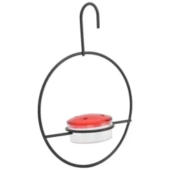 Til Fugle & Småvildt^Hummingbird feeder Smuk letvægts hængende fugle feeder med 4 porte til udendørs baghave